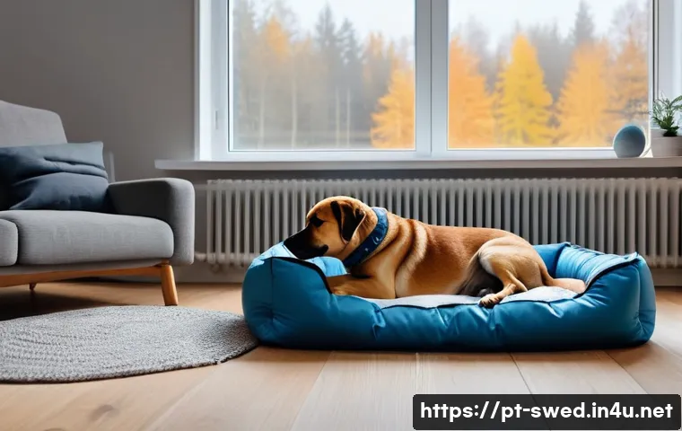 스웨덴에서의 반려동물 키우기 - A cozy Swedish winter scene featuring a medium-sized dog wearing a warm, colorful thermal jacket, si...